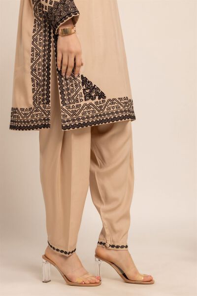 Embroidered Shalwar, BEIGE, hi-res