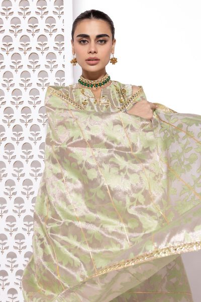  | Dupatta | Embroidered | AED 100.00