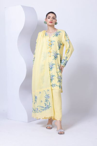 Embroidered | Crosshatch Raw Silk | Pants | AED 30.00