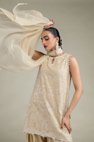 Embroidered | Chiffon | Beige Chiffon Dupatta | AED 130.00