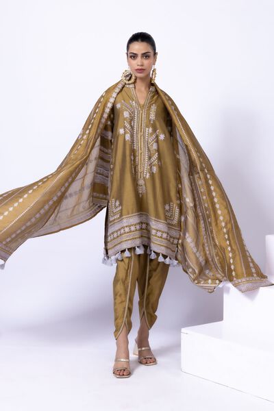 Embroidered | Raw Silk | Shalwar | AED 24.00