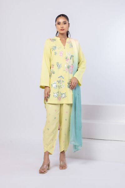 Embroidered | Dull Raw Silk | Pants | AED 72.00