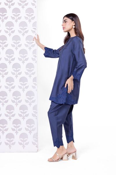 Embroidered | Raw Silk | Pants | AED 24.00