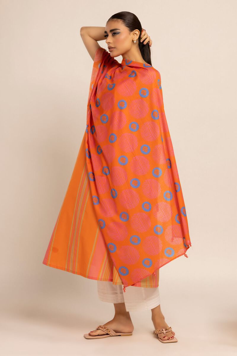 Printed | Lawn | Stole | null