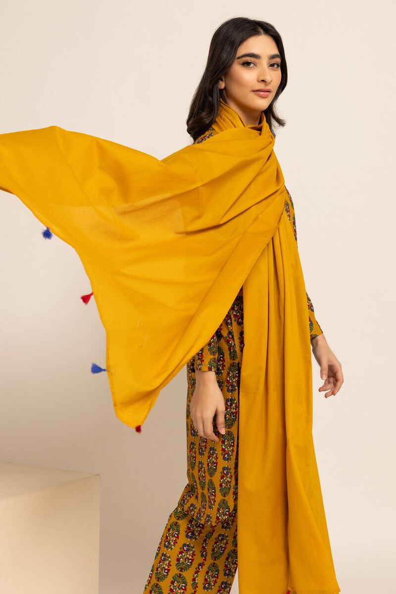  | Dupatta | null