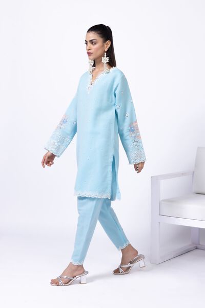 Embroidered | Cotton Reflex | Shalwar | AED 30.00