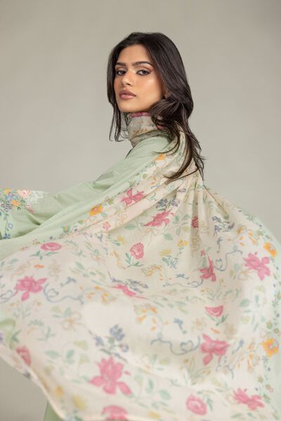 Embroidered | Cotton Net | Cotton Net Dupatta | AED 80.00