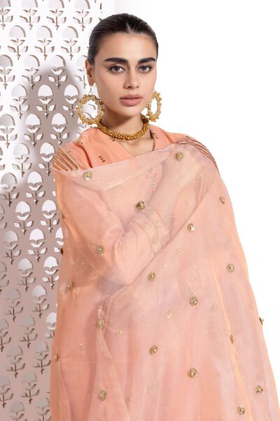  | Dupatta | Embroidered | AED 100.00