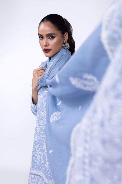 Embroidered | Dupatta | AED 54.00
