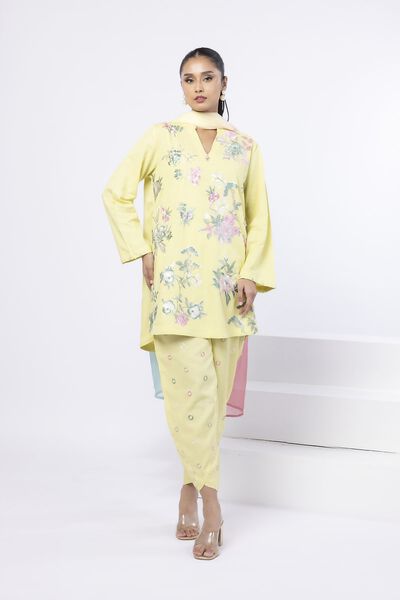 Embroidered | Dull Raw Silk | Kurta | AED 160.00