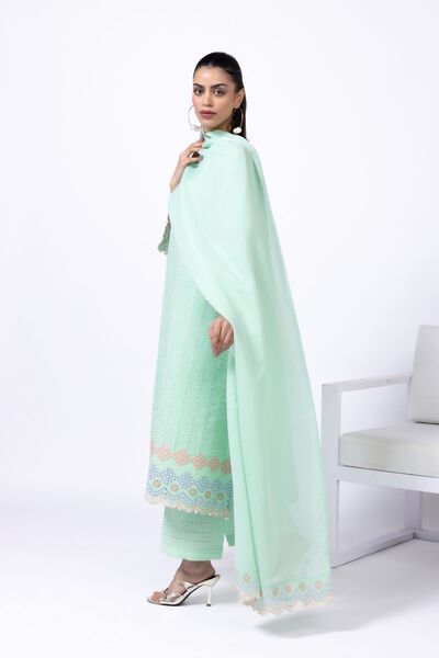 Embroidered | Cotton Reflex | Pants | AED 30.00