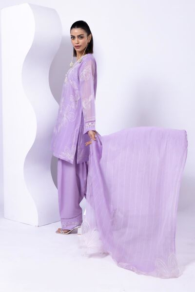 Embroidered | Crosshatch Raw Silk | Shalwar | AED 36.00