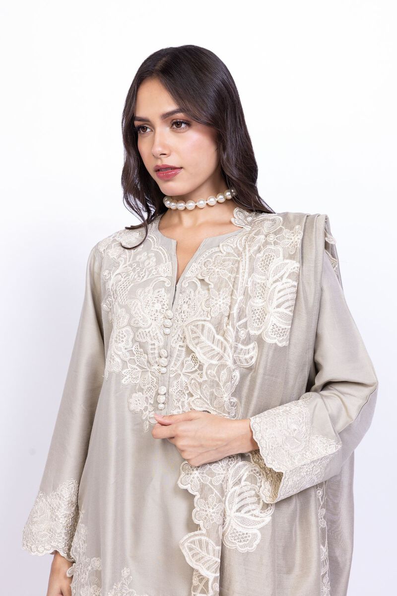 Embroidered | Cotton Net | Dupatta | null